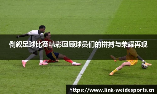 韦德体育官网