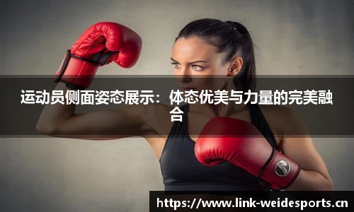 韦德体育官网
