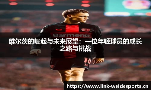 韦德体育
